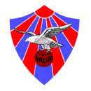 Valur Reykjavík